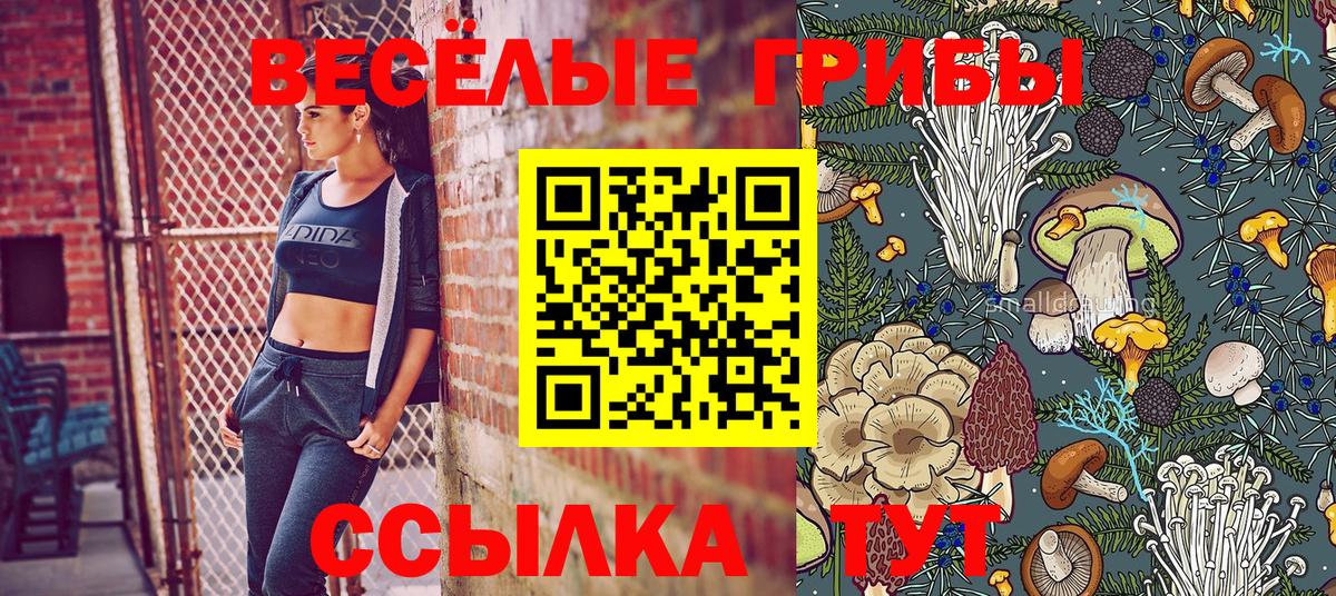 Псилоцибиновые грибы GOLDEN TEACHER  Псилоцибиновые грибы MAGIC MUSHROOMS  Чита  Вход с VPN 