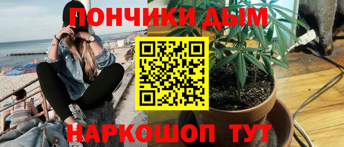 Шишки марихуана сатива Чита